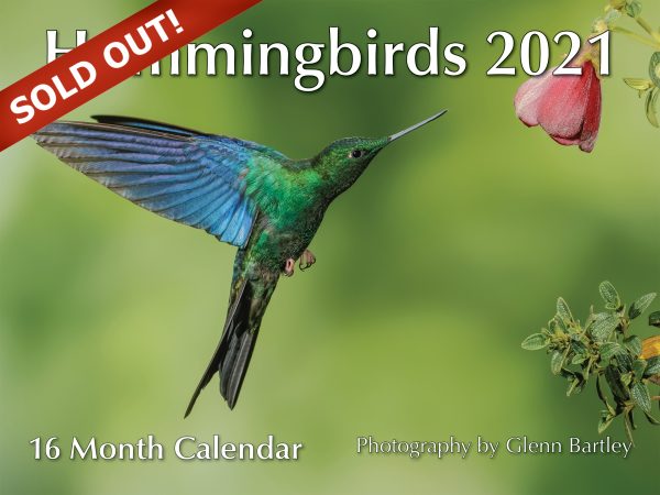 Hummingbirds 16 month Calendar 2021