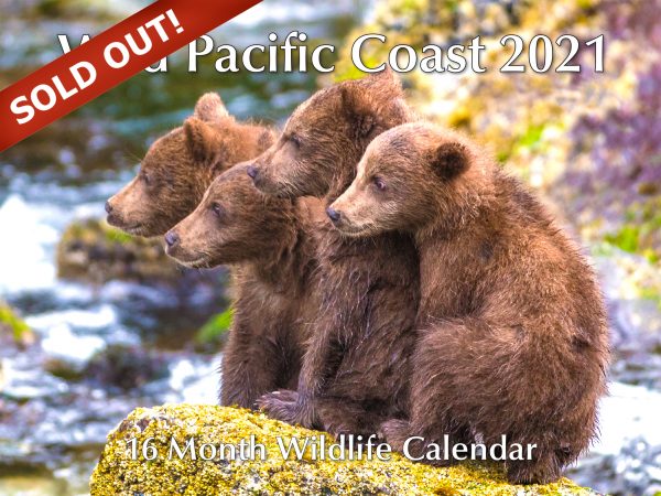 Wild Pacific Coast 16 month Calendar 2021