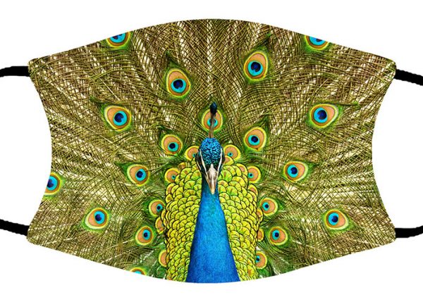 Peacock face mask