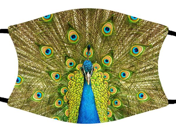 Peacock face mask