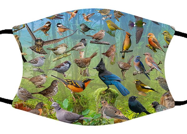 Backyard Birds face mask