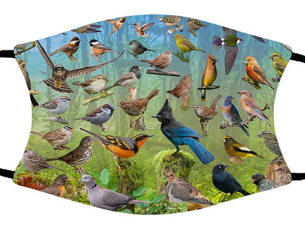 Backyard Birds face mask