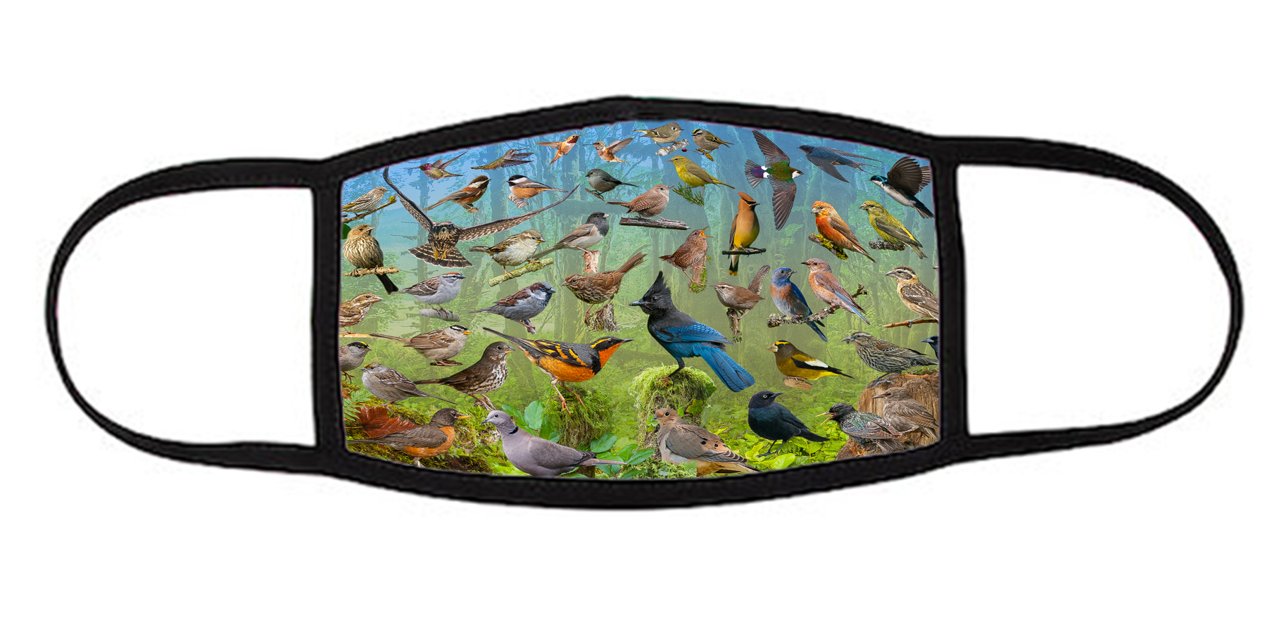 Backyard Birds Face Mask Pacific Music & Art