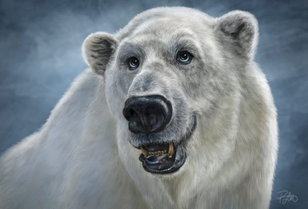 Patrick Lamontagne Polar Bear