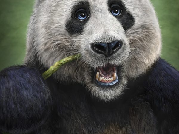 Patrick Lamontage Panda