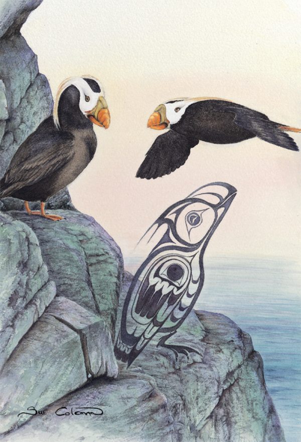 Tufted Puffin