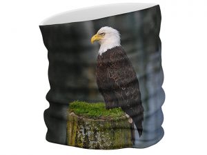 Stern face scarf