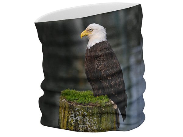 Stern face scarf
