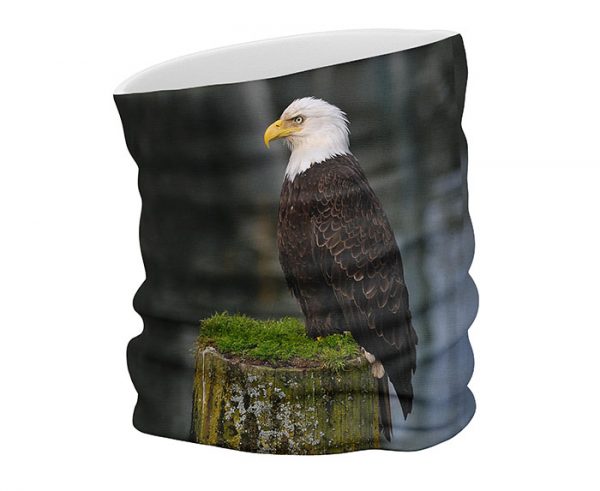 Stern face scarf