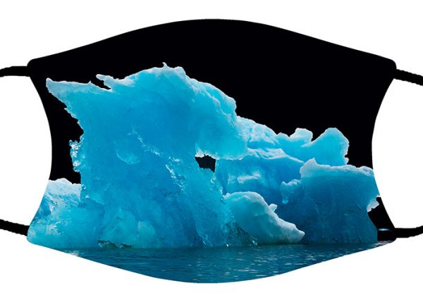 Ice Dragon face mask