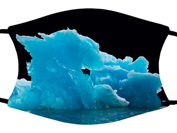 Ice Dragon face mask