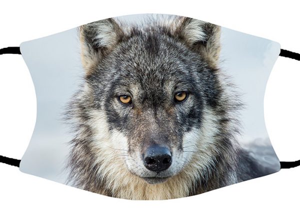 Wolf Profile face mask