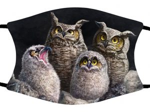 One In Every Family (Owls) face mask