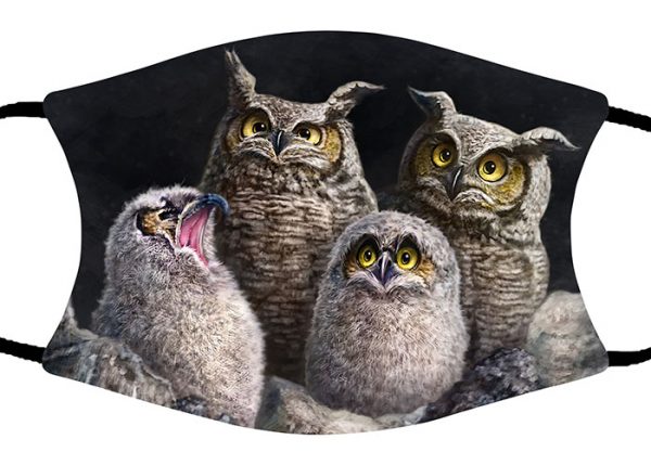One In Every Family (Owls) face mask