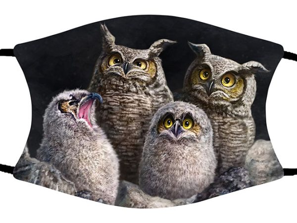 One In Every Family (Owls) face mask