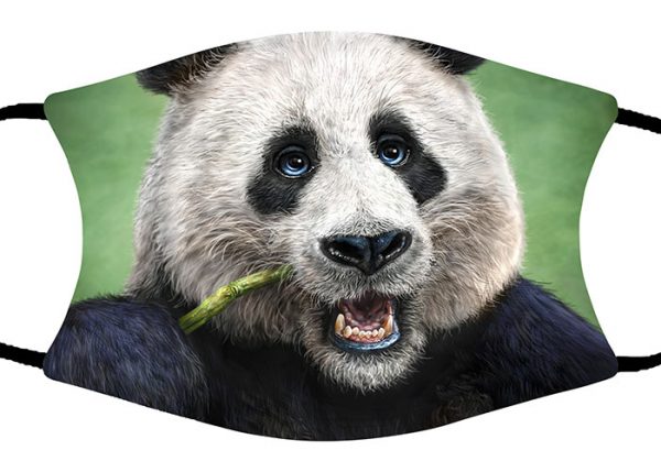 Panda face mask