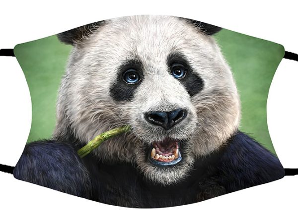 Panda face mask