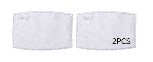 Face Mask Filters (2 pack)