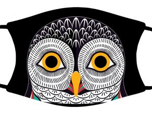 Owl face mask