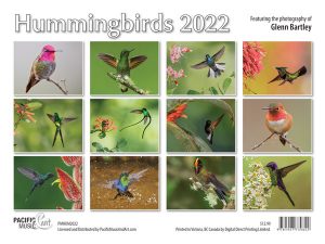 Hummingbirds 2022 Calendar Back Cover
