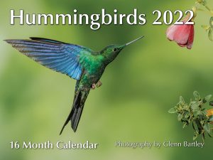 Hummingbirds Calendar 2022