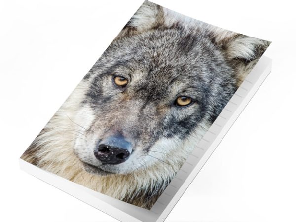 Wolf Profile Notebook