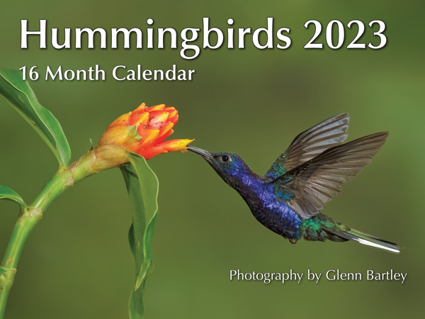 Hummingbirds Calendar 2023