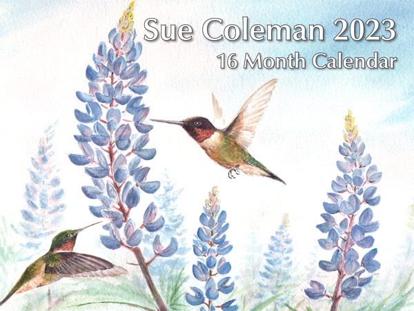Sue Coleman Calendar 2023