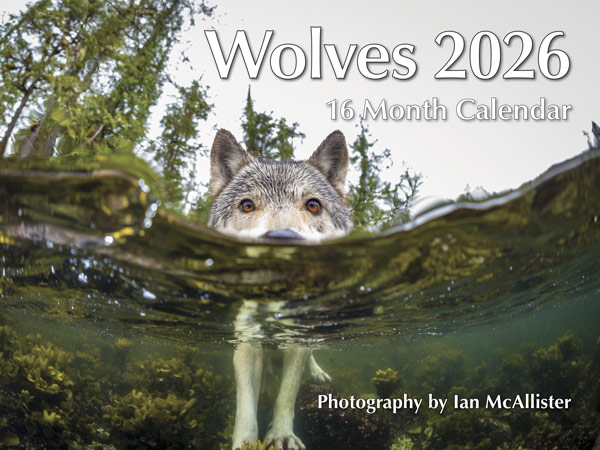 PMIMW2026 Wolves Calendar 2026 front cover