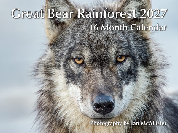 PMIM2027 Great Bear Rainforest Calendar 2027 front cover