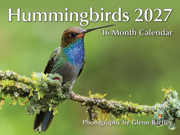 PMHUM2027 Hummingbirds Calendar front cover by Glenn Bartley