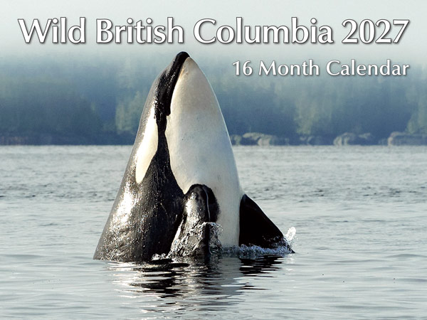 PMWBC Wild Animals Calendar 2027 by various photographers